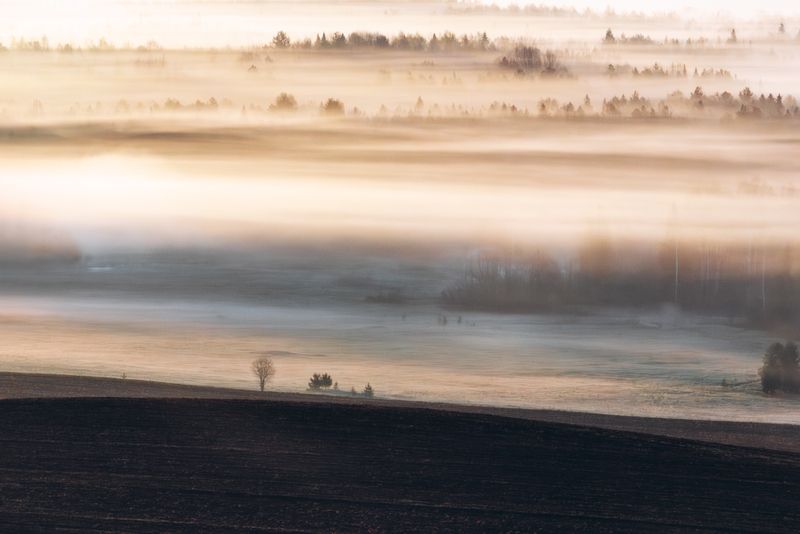 Туманы фото превью