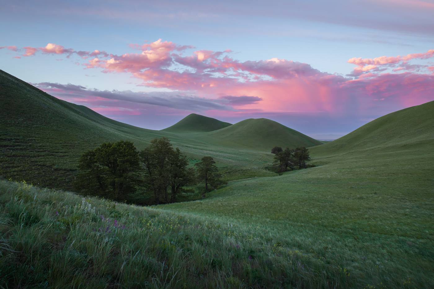, Арсений Кашкаров