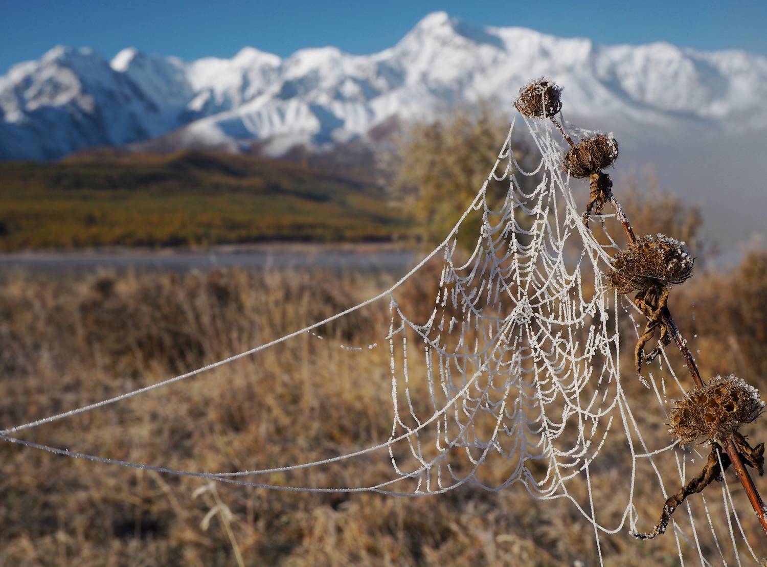 , Яковлев Евгений