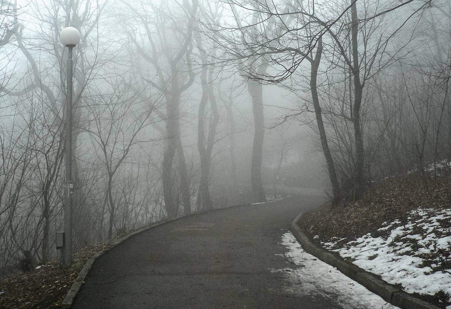 железноводск, туман, парк, КарОл