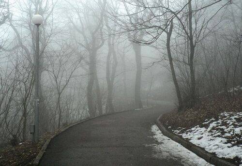 Туманность