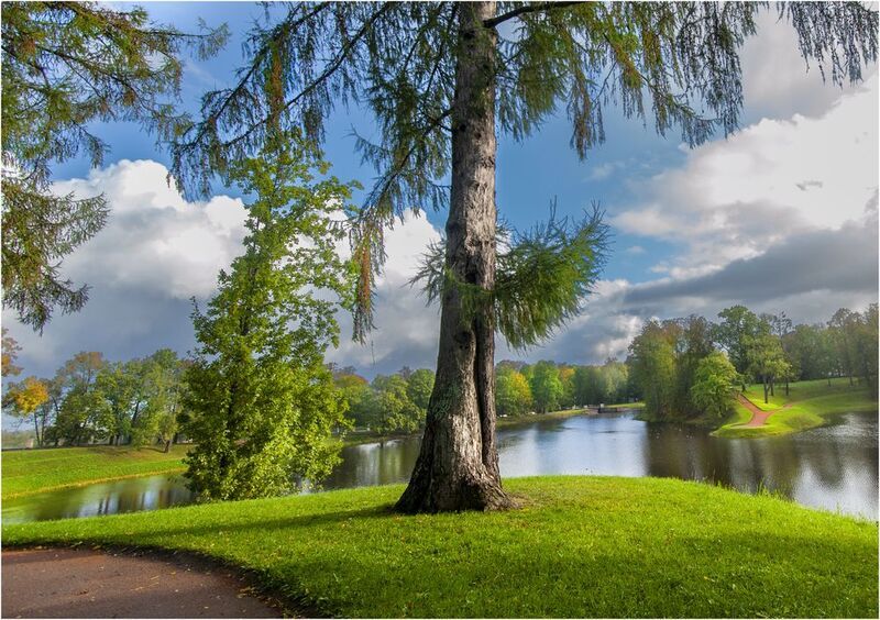 На рассвете фото превью
