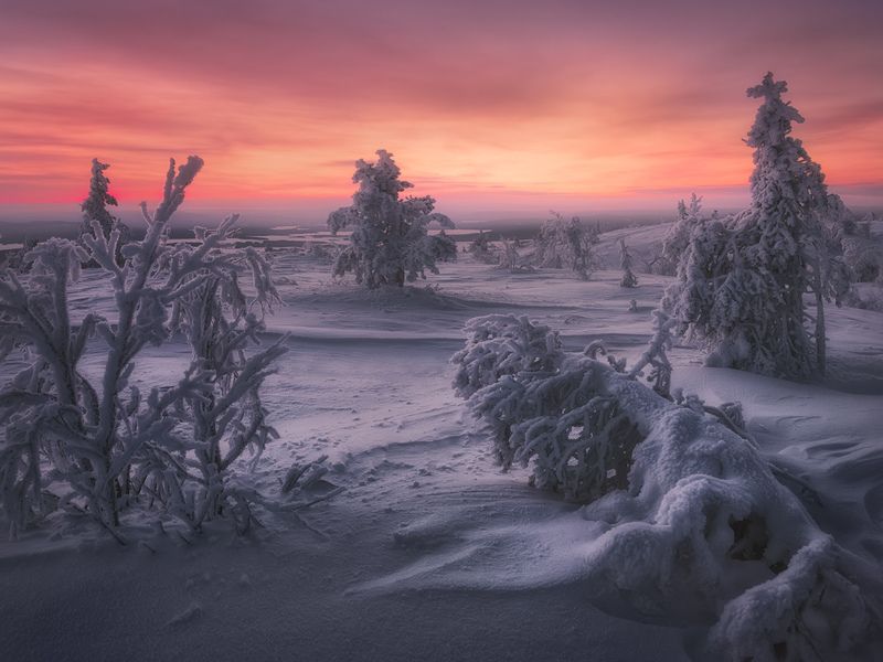 Длинные вечерние сумерки на Волосяной сопке фото превью