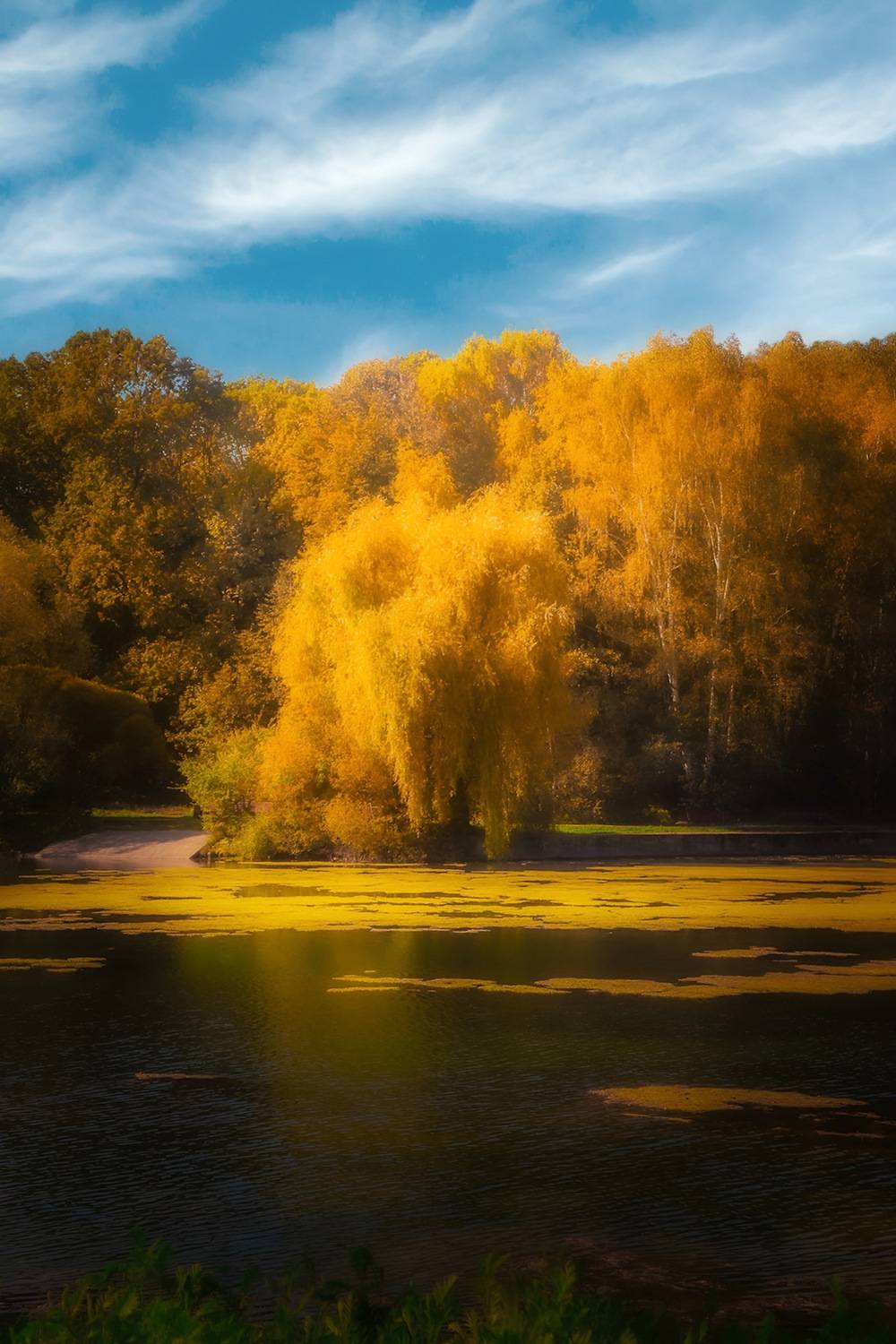 пейзаж, landscape, nature, природа, осень, autumn, золотаяосень, goldatum, Julia Kaissa