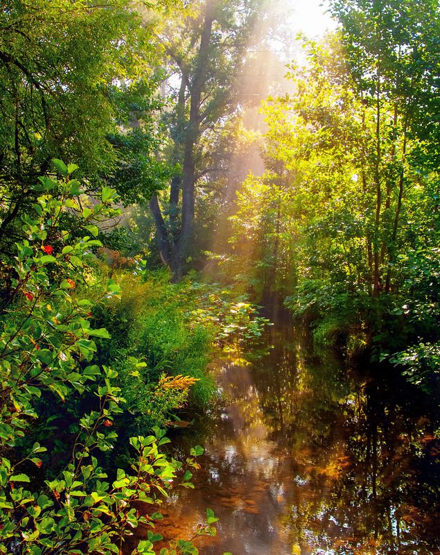 colorimpression фото превью