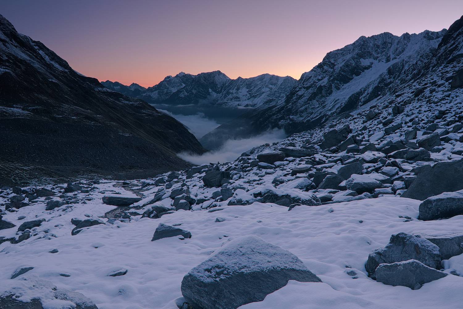 , Wojciech Tarnowski