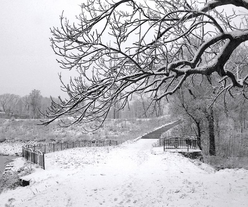 *** фото превью