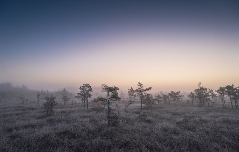 Скоро рассвет фото превью