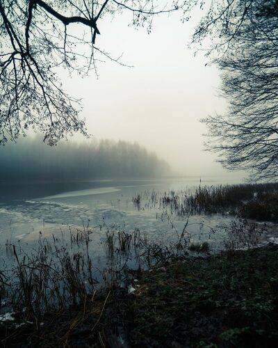 Туманный день на берегу замёрзшей реки (3)