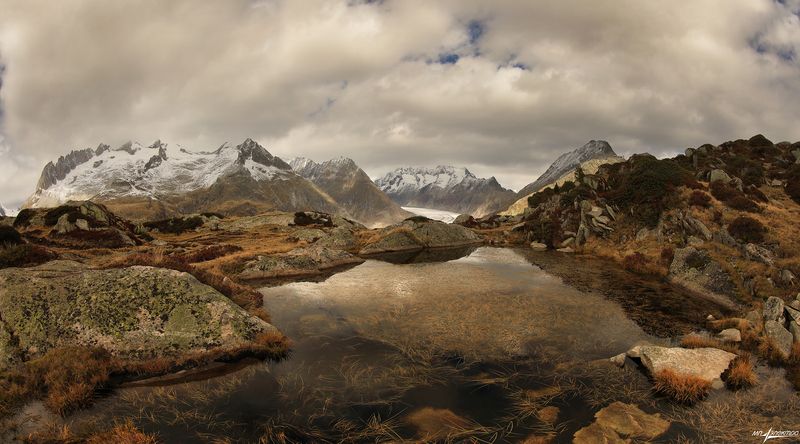 swiss Осень.. фото превью