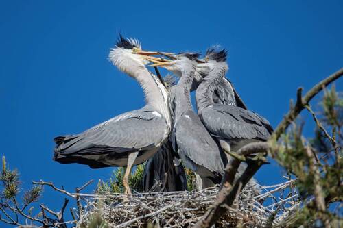 Отдай мне! // Give it to me!