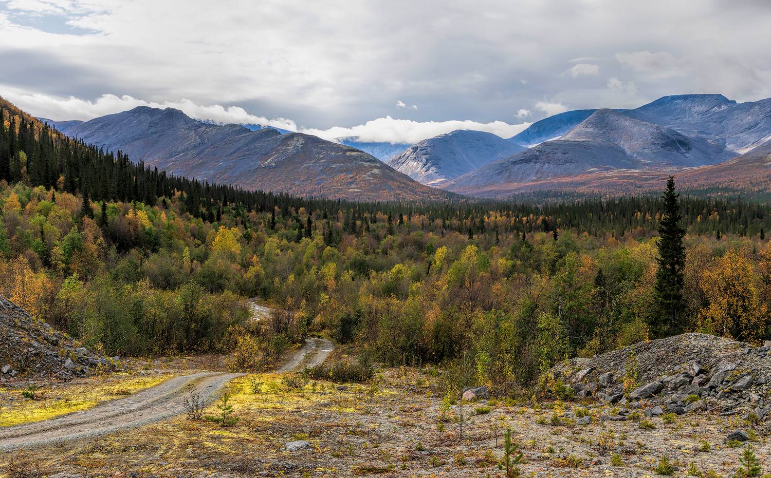 , Александр Смыков