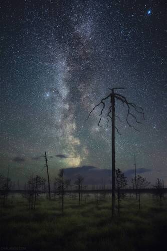 Млечный путь над осенним болотом