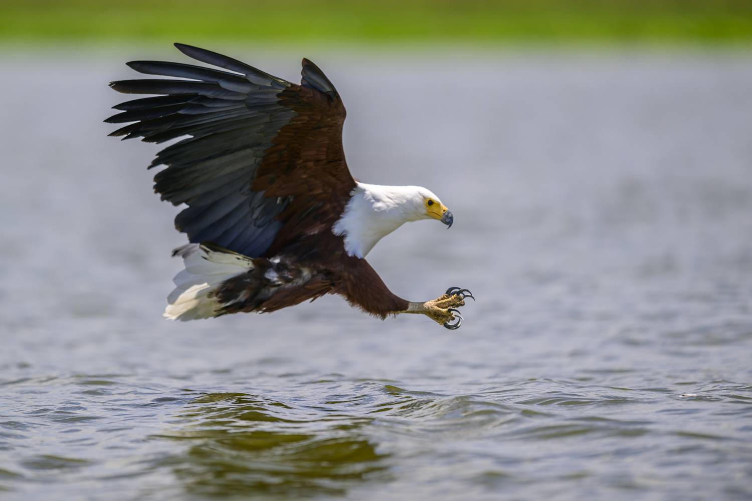 , Пупонин Сергей