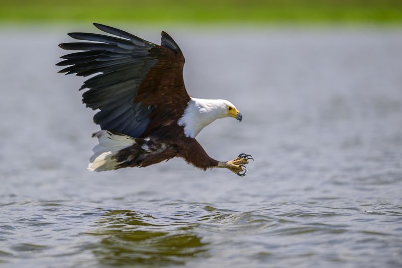 Атака фото превью