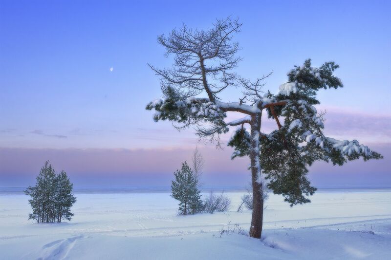 Сестрорецкий берег Финского залива фото превью