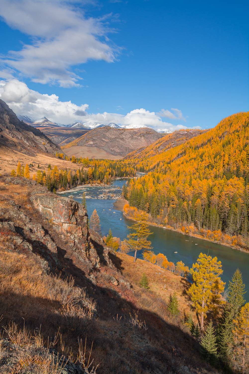 россия, горный алтай, река, осень, Андрей Поляков