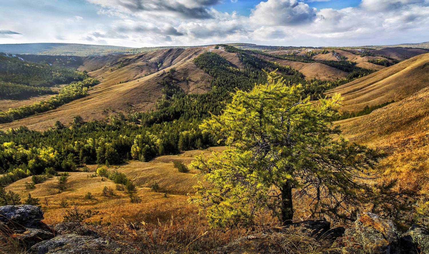 , Ушаков Валерий