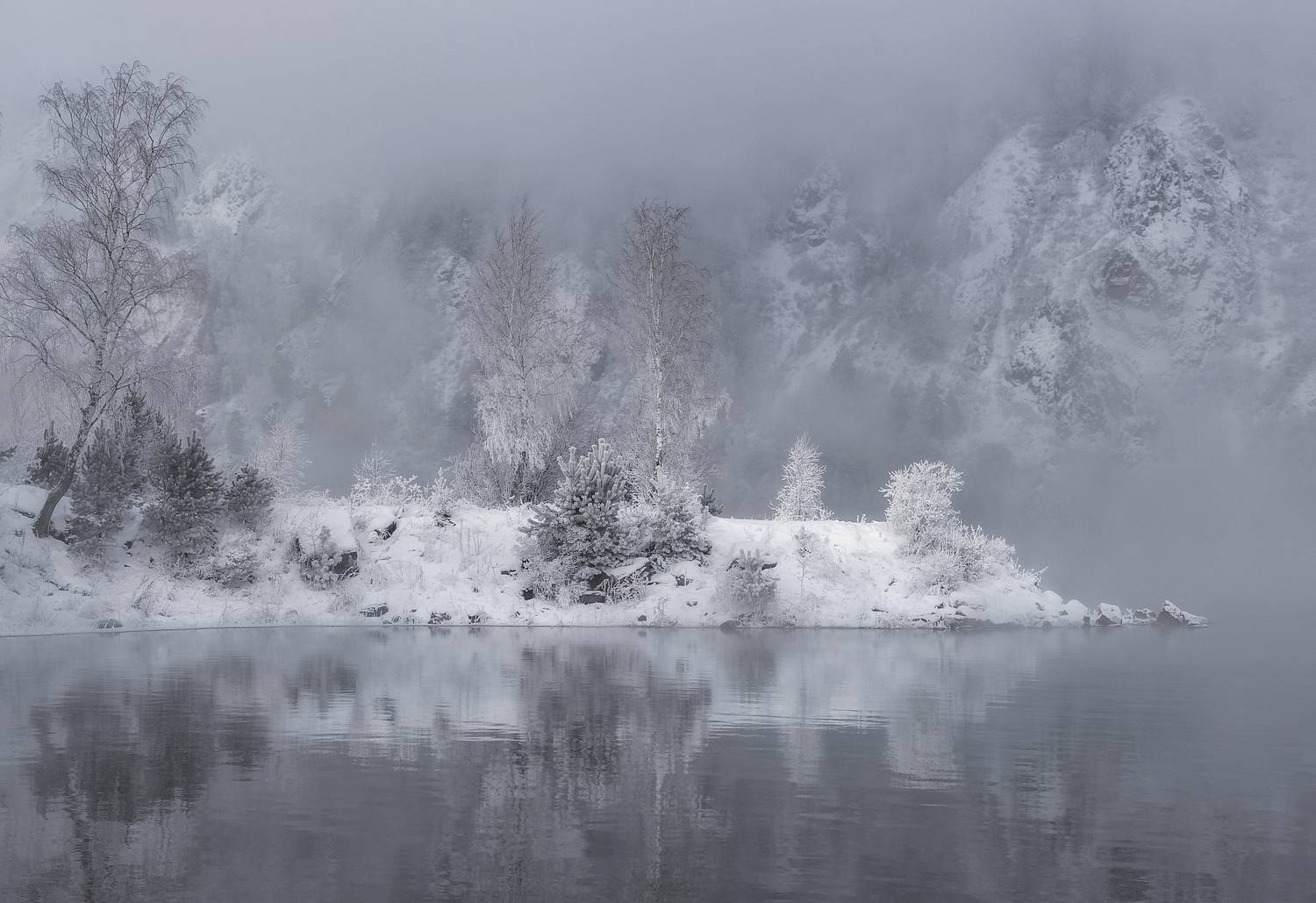 зима, мороз, елка, енисей, туман, испарение, иней, отражение, горы, саяны, красноярскфото,, Марина Фомина