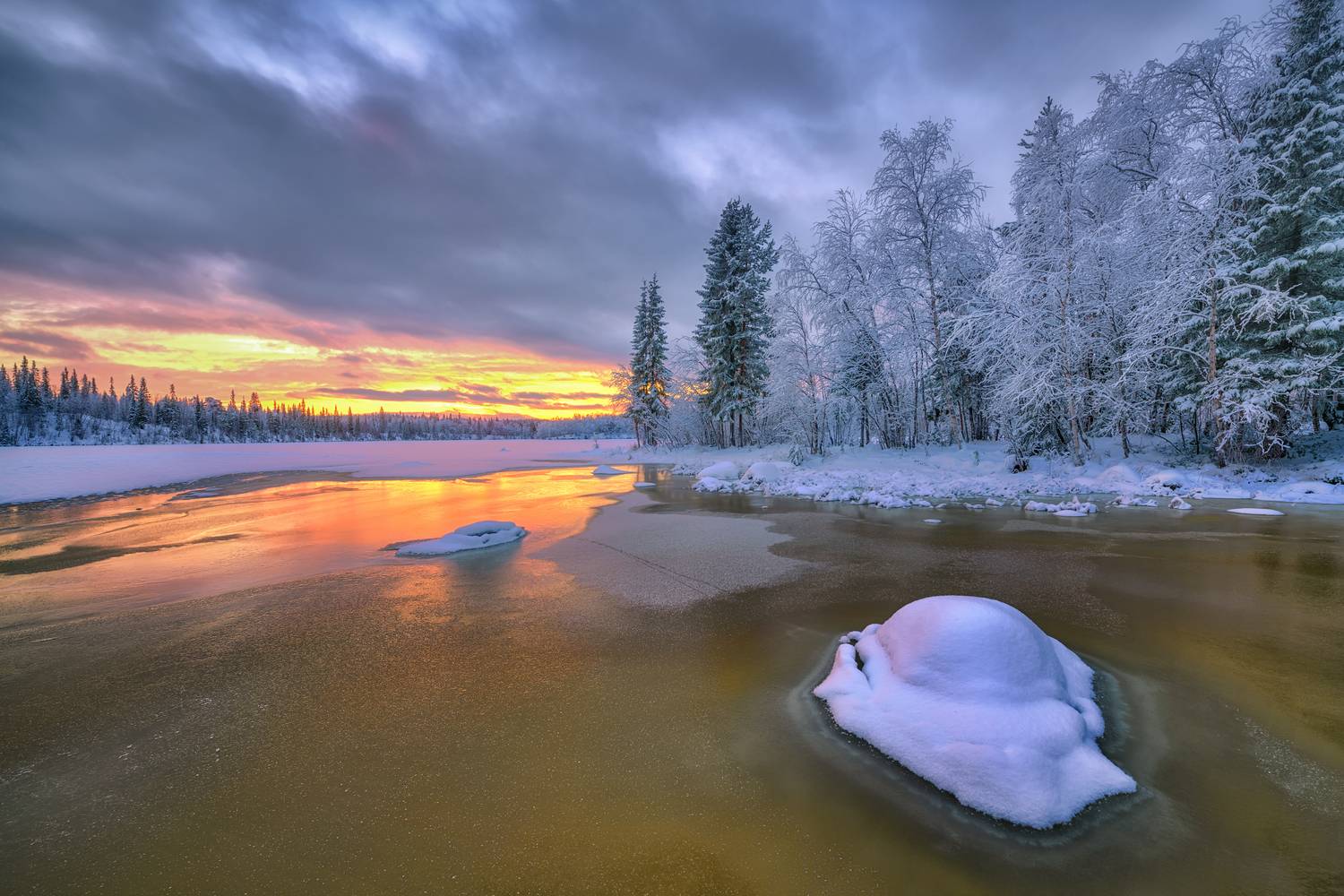 кольский, Евдокимов Максим