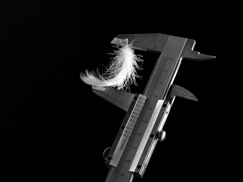 предметка, чб  фото превью