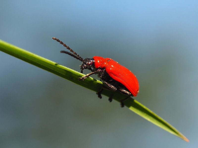 Движение вверх фото превью