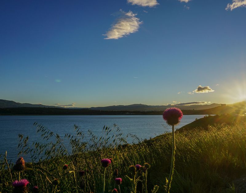 *** фото превью