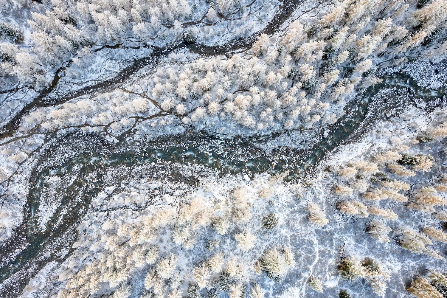 алтай, актру, Григорашев Денис