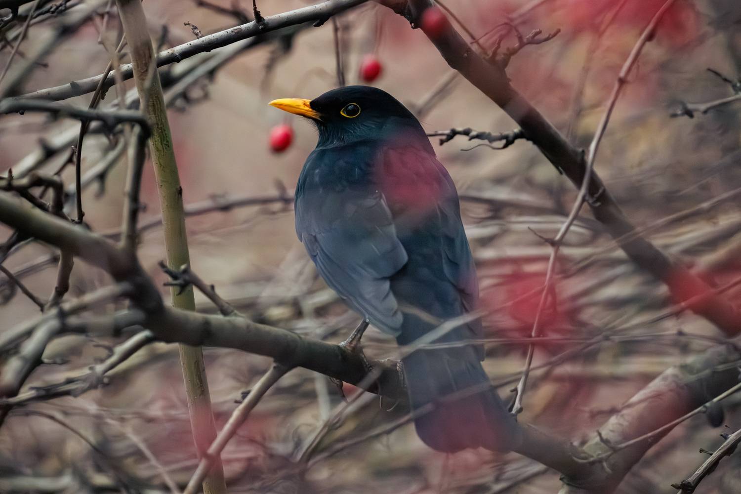 , ssmirs Сергей