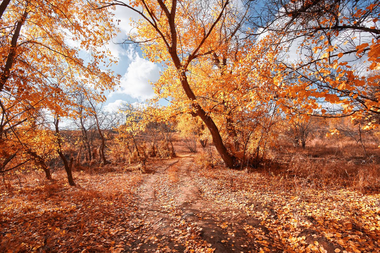 осень, волгоград, , Павел Сторчилов