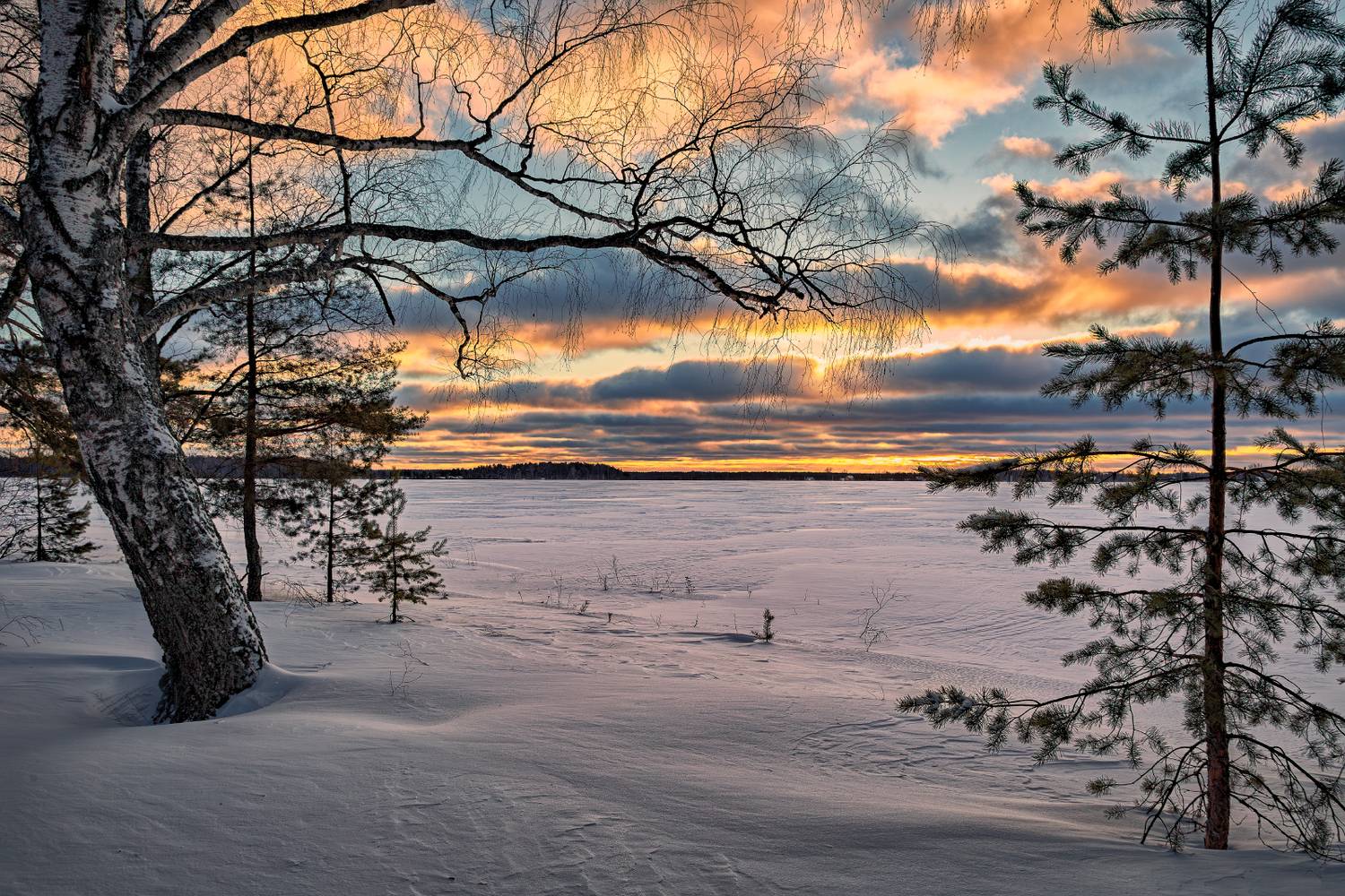 , Евгений Ерохин