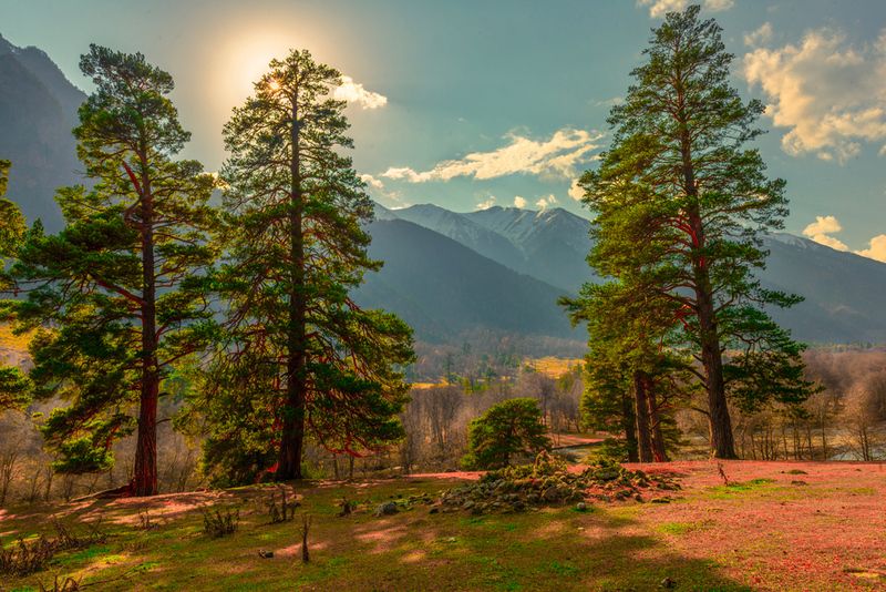 Ущелье Аксаут.КЧР. фото превью