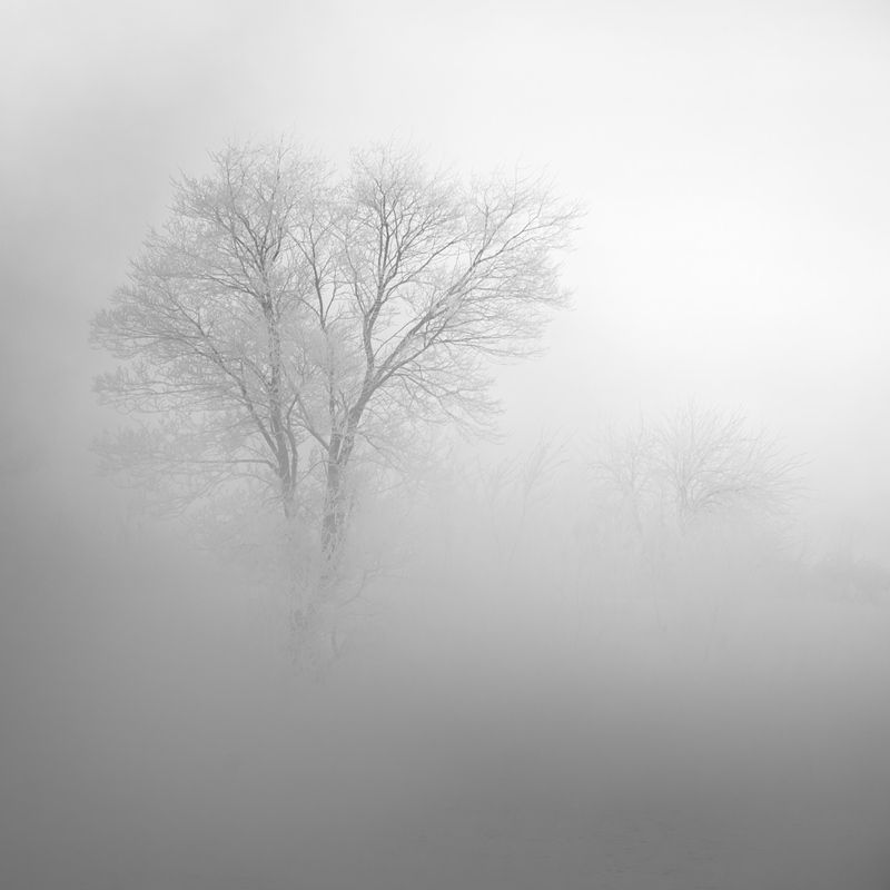 зимний пейзаж, пейзаж, зима, рассвет, курган, зауралье, природа урала, урал, орловское водохранилище, орлово, курган  фото превью