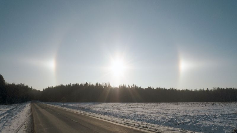 В начале декабря фото превью