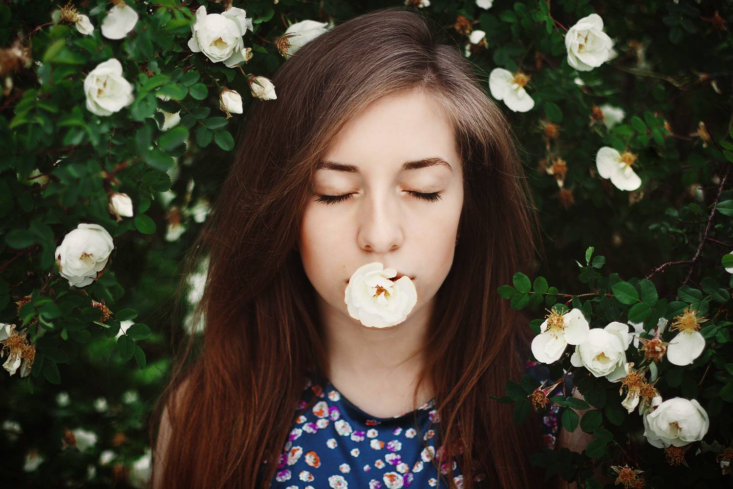 portrait портрет лес девушка модель весна розы, Олег Карсаков