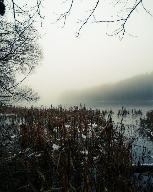 Пейзаж, туман, зима, лед, природа, атмосфера, мистика Туманный день на берегу замёрзшей реки (4) фото превью