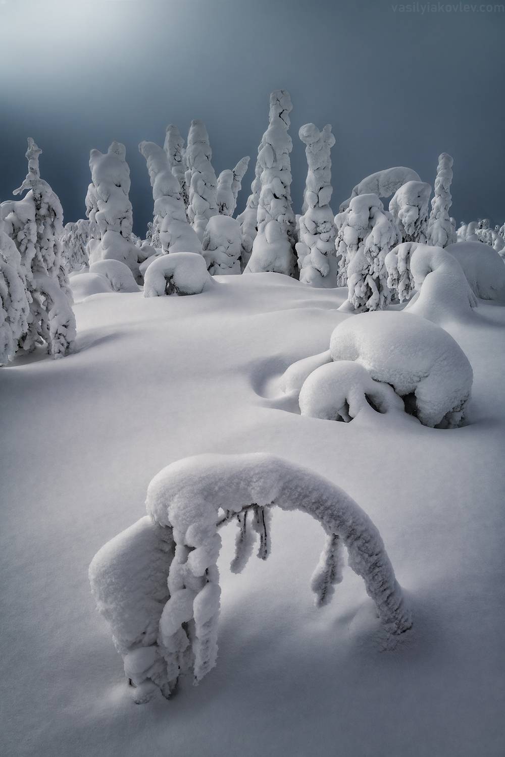 , Василий Яковлев