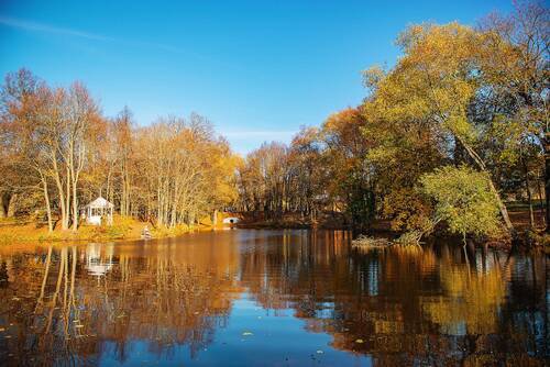Большое Болдино (часть 4)