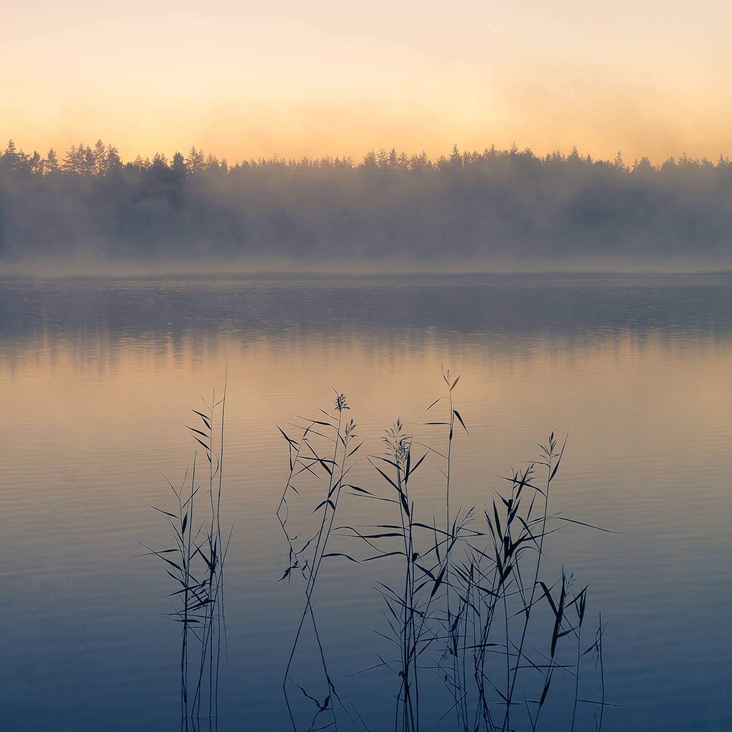, Аркадий Мотовилов