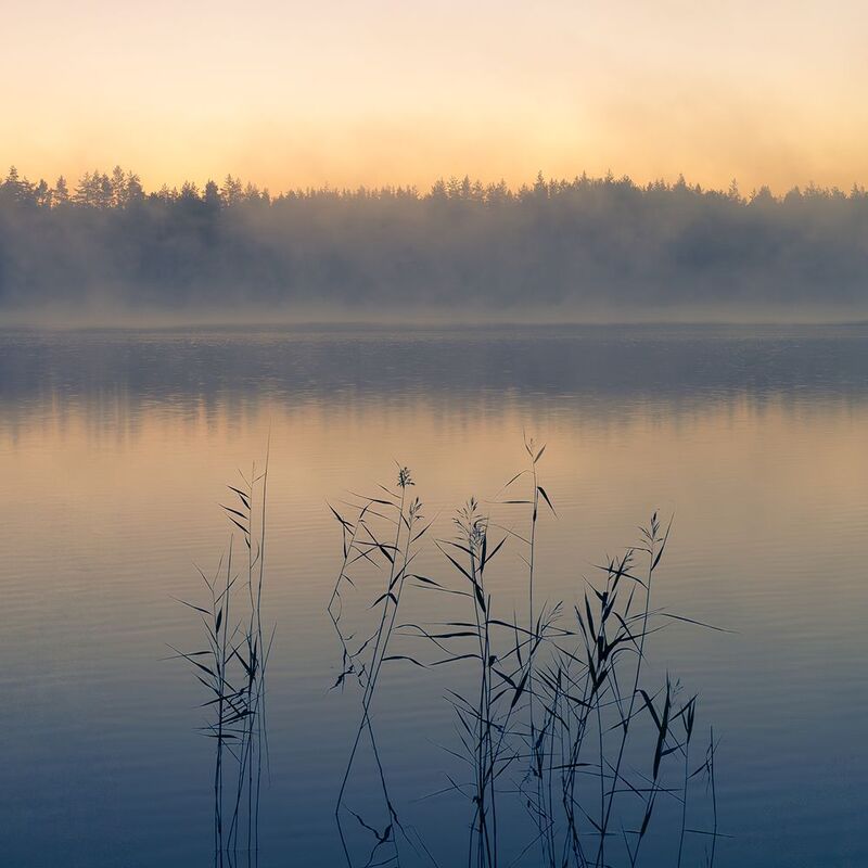 Простой карельский пейзаж фото превью