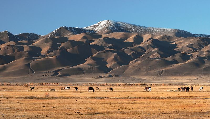 Горное пасбище фото превью