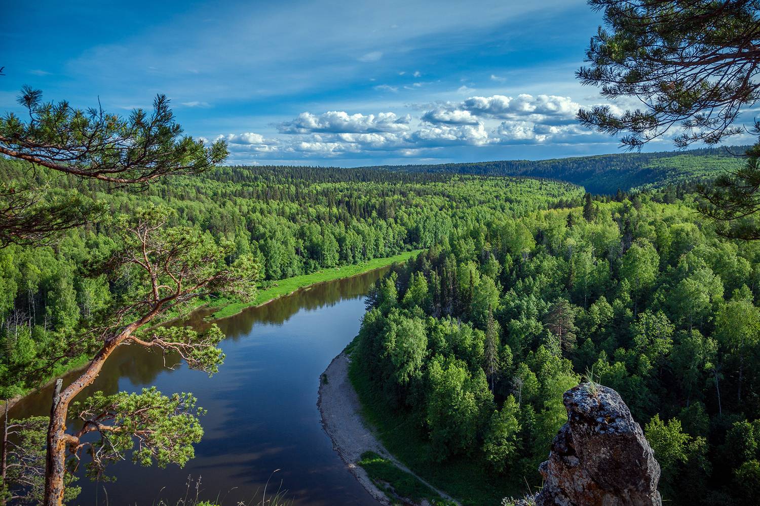 , Андрей Бортников