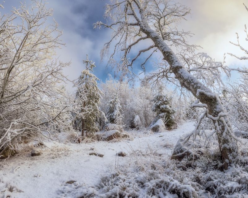 *** фото превью