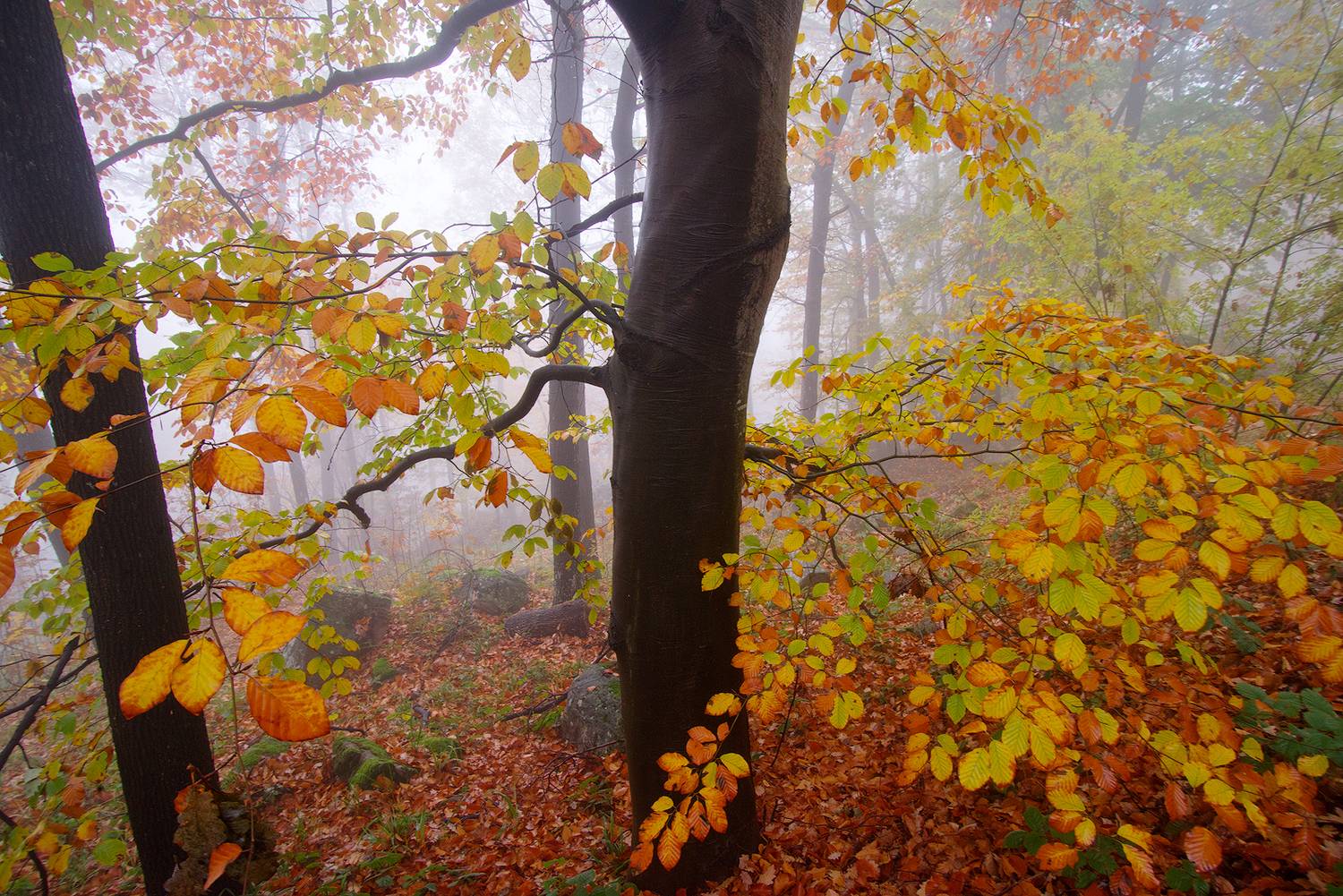 , Любослав Любомиров