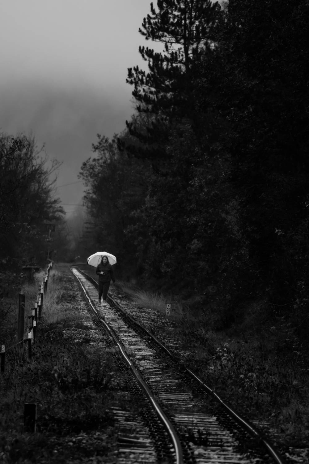 , Шилов Александр