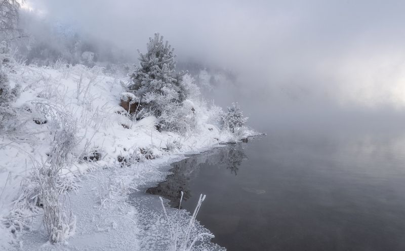 сибирь,морозы, ель, отражение, горы, саяны, туман Про ёлочку фото превью
