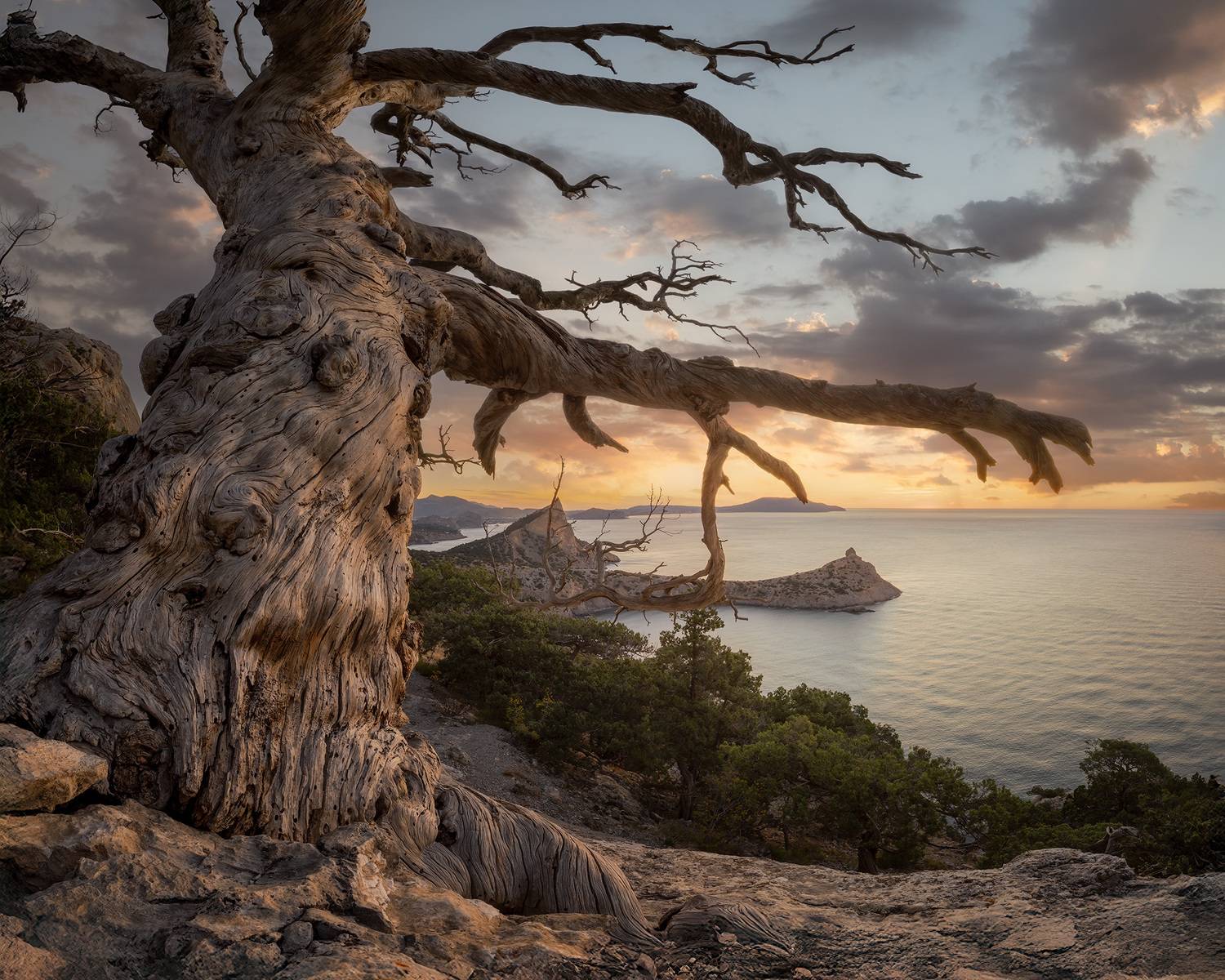 , Костенко Александр