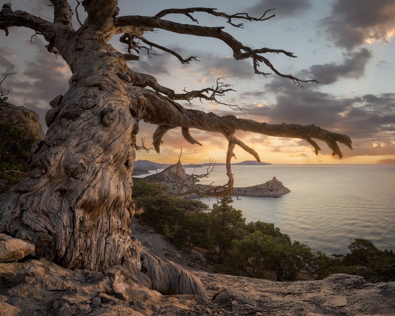 Вид на мыс Капчик фото превью