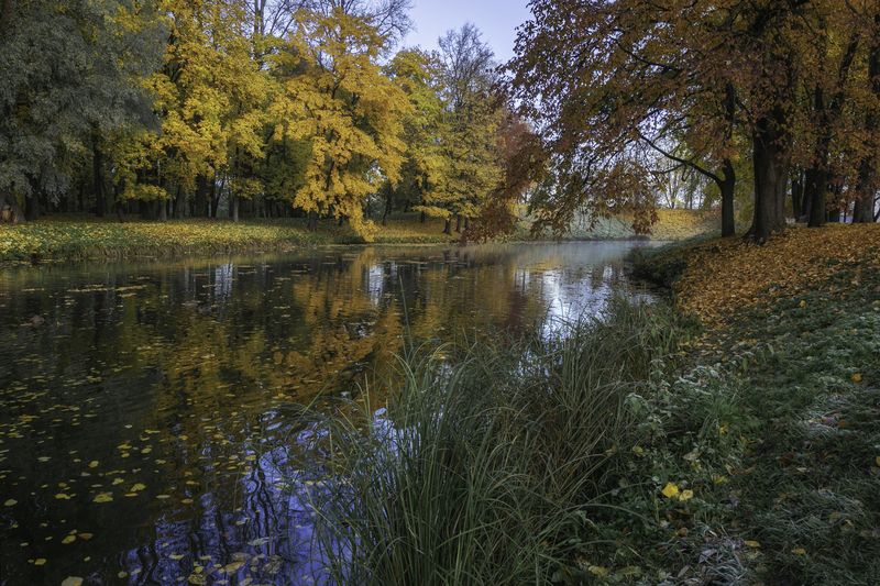 пейзаж Осень фото превью