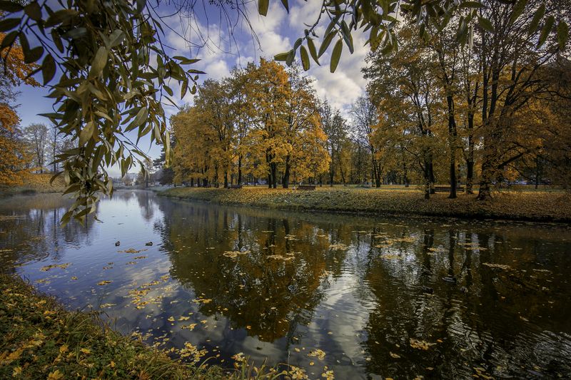 Осень фото превью